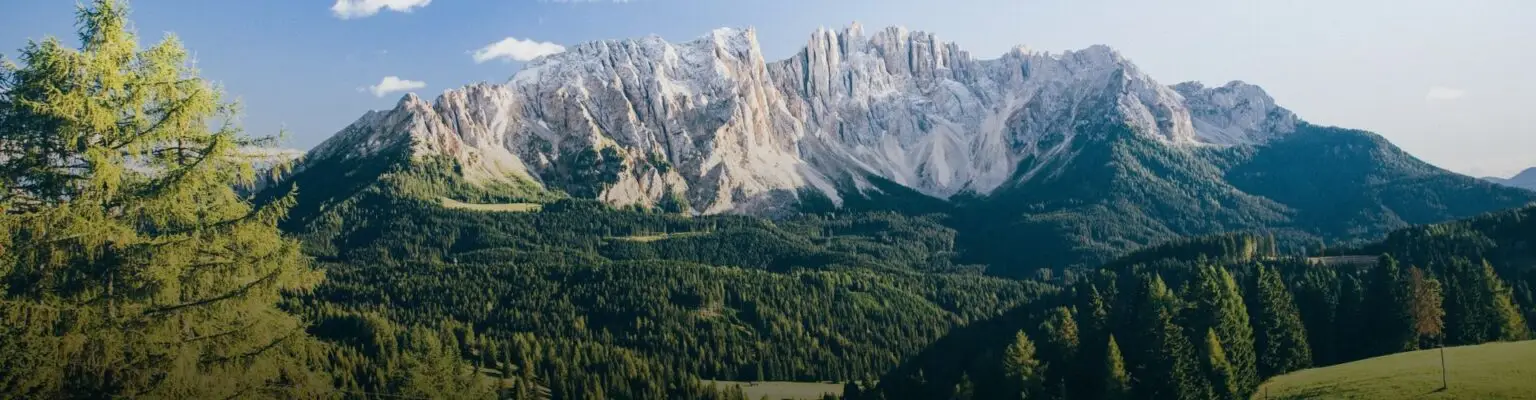 Wetekam Immobilien vermittelt Ihnen Immobilien in Südtirol. Finden Sie jetzt Ihre Traumimmobilie!